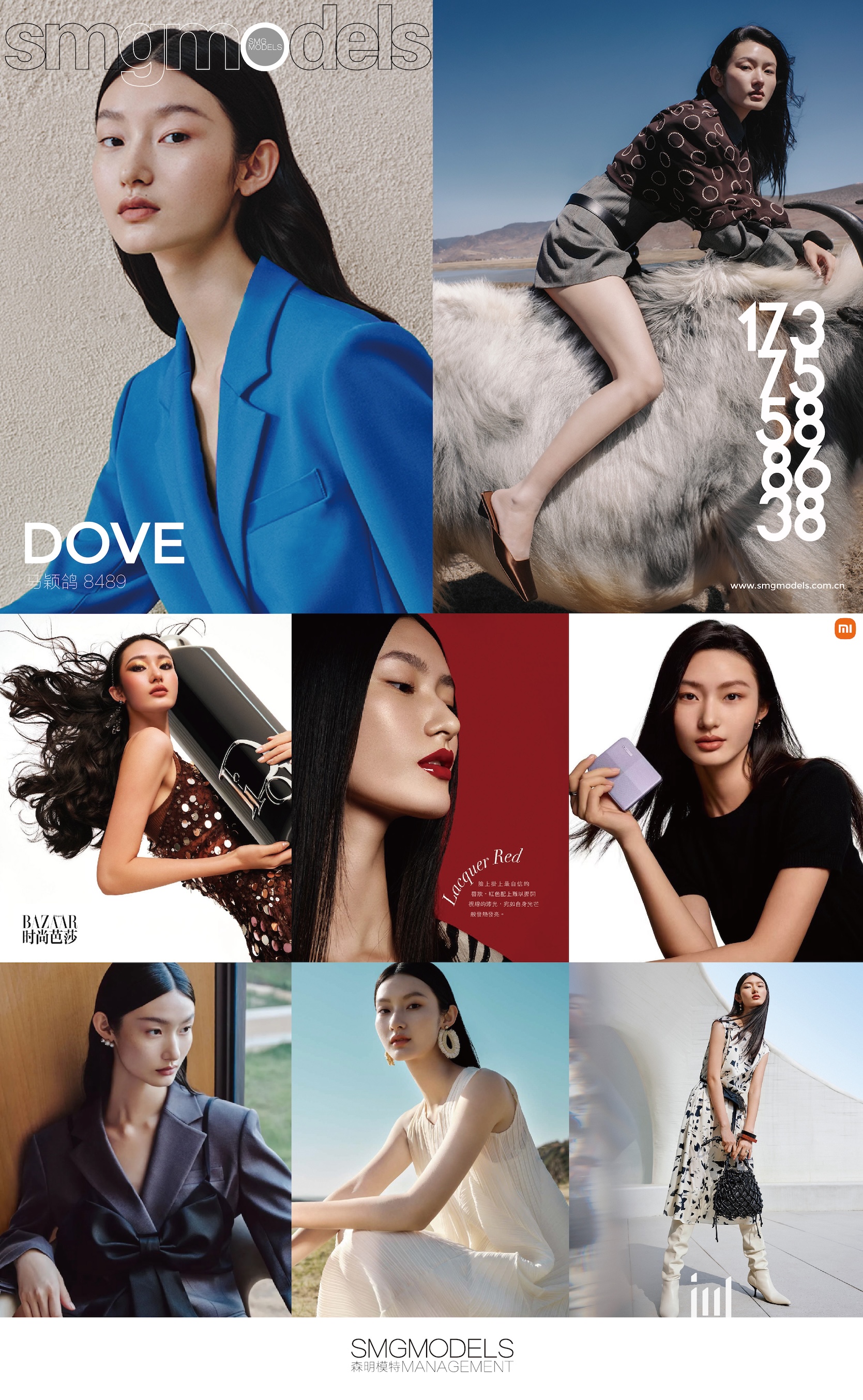 8489-DOVE 马颖鸽-03.jpg