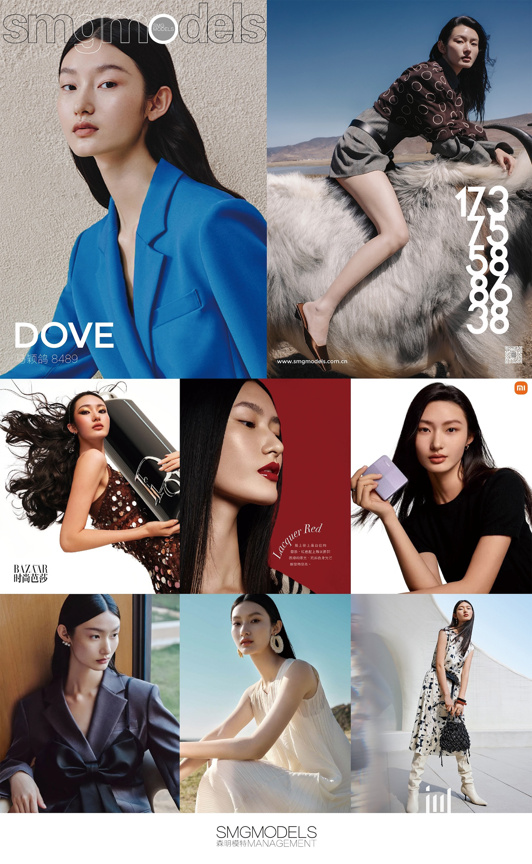 8489-DOVE 马颖鸽.jpg