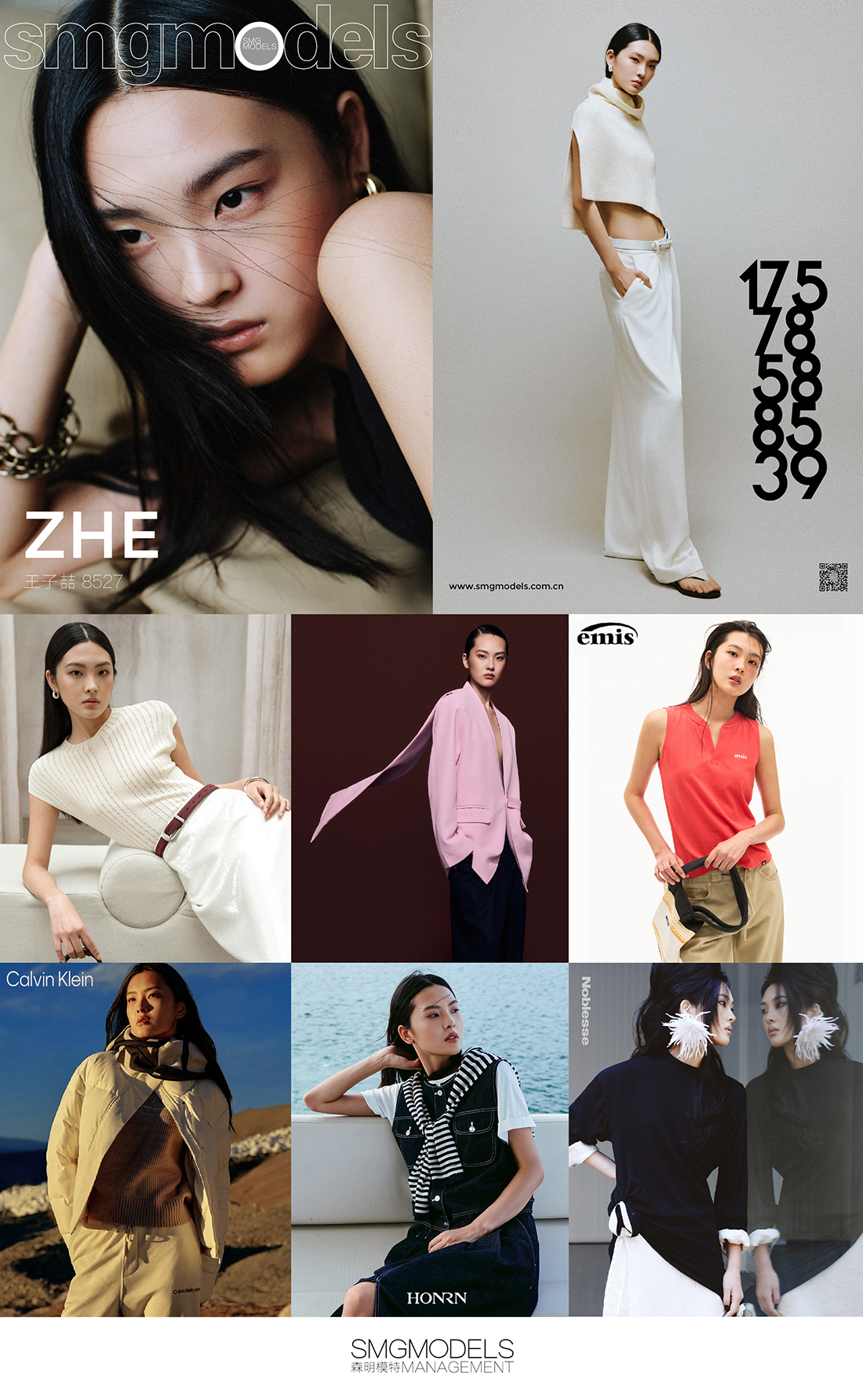 8527-ZHE 王子喆.jpg